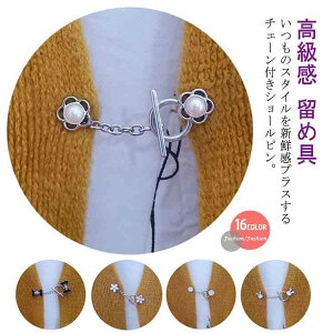 ߋ{^Xg[sJ[fBKV[s{Ǝ`F[tߋOT^yswsu[`