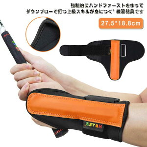 XCOStKStO[uStO[uStKz̃_Ev[񋸐StdDCjpSt