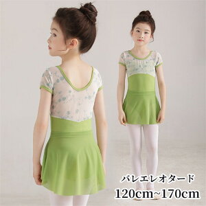 oG I^[h ԕ XJ[gt oGI^[h ̎q  q qp qTCY LbY WjA _X V̑ Vv K bX Xe[Wߑ \ o[i 