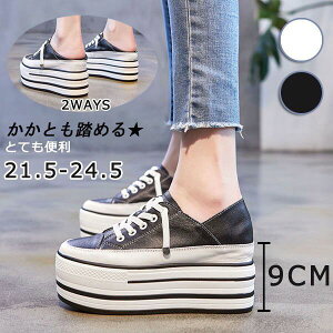 Xj[J[ fB[X  zCg  ubN  Cq[ ƂȂ Ƃ 2WAYS q[9cm LoX Xb| t  R T{T_ T_ ₷ E₷ 