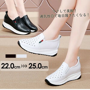 Xb| fB[X Xj[J[ y p`O bV ʋC ₷ C   ɂ 22.5`25.0cm