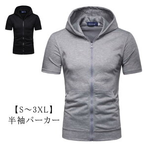 p[J[ Y WbvAbvp[J[ n J[fBK Wbvp[J[ HD T}[p[J[ ăp[J[ JWA t[ht gbvX StEFA ̓ z X|[c ĕ 