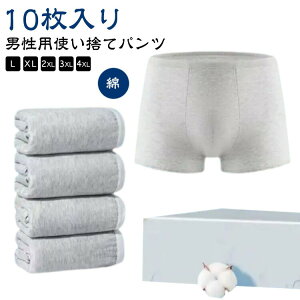 10 pc gїp Ɩ Rbg gїp  ĝ ĝăpc V[c  {NT[pc Rbg j Y Cws nk ЊQ  hЃObY 펞 qI 