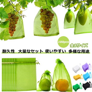 Ԃǂ 񂲑 ʕlbg 100 ʎ یlbg h lbg 悯lbg 悯lbg т  Ԃǂ В 悯lbg ʎphlbg ʕیobO ʎ C`S 