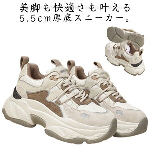 Xj[J[ _bhXj[J[ [XAbv V[Y ^C fB[X 5.5cmq[ ꂢ ₷ Ȃ L b  킢 x[W ʊw ʋ 22.5-25cm EH[L