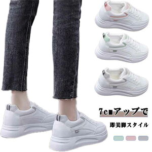 Xj[J[ fB[X 7cmUP r V[NbgV[Y Cq[ Xj[J[ [XAbv  PUU[ EH[LOV[Y JWA V[Y 22-24.5cm ʊw ʋ w Z