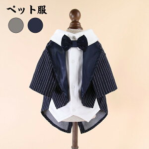   hbOEFA ^LV[h ybg XgCv LpiS-XLTCYj^ ^ VY ʐ^ Be  j LOp[eB[  yVCOʔ