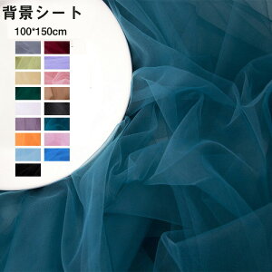  wiV[g Bepwiz `[ TCY100*150cm Be X^WIwiXN[V[g p[eB[ Bep ʐ^ yVCOʔ