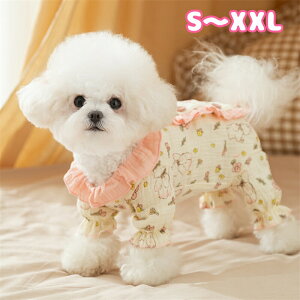  ̕ I[V[Y  ybg ₷ hbOEFA Jbg\[   L ybgEGA p㕞 p Lp pEFA 앞 IX X ̎q j̎q ^ wJ