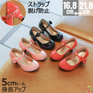 sAm\ LbYC Ǝ xr[C \ C ̎q {  qC xr[V[Y tH[} q[ tH[}V[Y ǂ C q sAm _炩 t w q 