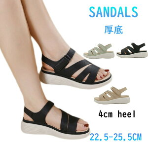 ȂT_ fB[X  X|[cT_ 4cm y T_ ₷   fB[XT_ ItBXT_ r d Xj[J[T_ ꂢ _