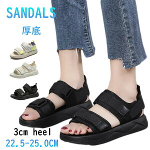 ȂT_ fB[X  X|[cT_ 3cm y ₷ T_   fB[XT_ ɂȂ ItBXT_ r IV L d Xj[J