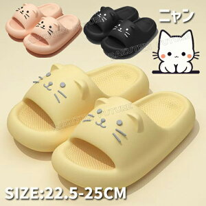  V[ T_  fB[X V[T_ V[T_fB[X r[`T_ fB[X V[T_ Xbp ėp 􂦂 y \tg Ռz ~