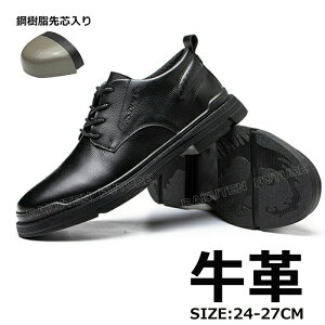 SC  [Jbg Y SC IV 24 25 26 27 y Ȃ {v v Y  {v v  \tg ϔM RۖhL Su[c ƌC h S |c 