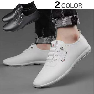 ΂ȂCRrWlXV[YV[YCtFCNU[JWAV[YamCʋΕ₷JVRۊvChL₷AEgbg