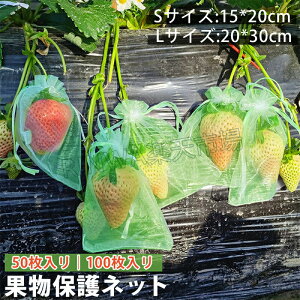 50/100Zbgʕیܖ؃lbgt[clbgʕیlbg|lbgیhhlbgʎВܒ悯ԉ|piK[fjOpit[cK[fjOƒ؉t[