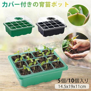 5/10c|bgc{bNXcgCccZbgcqgC܂nEX12܂琬ؐAƒ؉ubNO[Jo[ʋC|܂|b