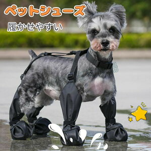 CEȂ₷UtďH~AXt@g₯Ǌ~ߒ^^^gCv[hpChbOV[YhbOu[c֕t|GXe