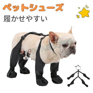 CEȂ₷UtďH~AXt@g₯Ǌ~ߒ^^^gCv[hpChbOV[YhbOu[c֕t|GXe