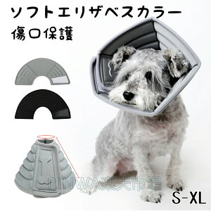 �G���U�x�X�J���[���L�\�t�g�\�t�g�G���U�x�X�J���[���^���y�b�g�p�i�����\�t�g�_�炩���p�^���r�߈����~���h�~�����ی��p��̃P�A����P�K�p��E�F�A�N�b�V�����񖍂܂���G���J