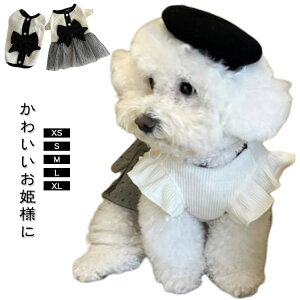 đȂhbOEFAhX{txXg킢L^傫ߌ̕s[X̎qіh~UEFACX^fgCv[h`