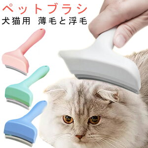 ybguVLpJ[uuVɂȂтƕяюыʃPAg~OO[~OlԍHwObv{fBCɃtBbgєMǑ΍L^p