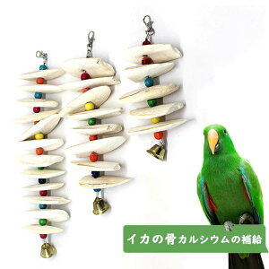 Jg{[CRCJ̍IEނ݂艺JVE̕⋋ZLZCCRIJCR