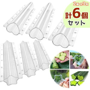 ƒ؉LĚ^͔|`^fRイ^n[g^e3{(6{Zbg)