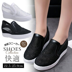 Xb|Xj[J[fB[XCq[tČCV[YbVrW[ʋCǂJWA₷₷T{rt@bVꃍ[Jbg~߉K