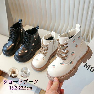 V[gu[c̎qԕhJqCtH~Nї{Au[cLbYWjAqvCqCNї{A҂ݏグg[q[їpyʒɂȂTChWb