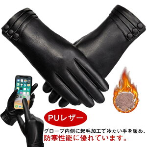  fB[X vO[u PUU[ U[O[u h h N Ԃ  ^b`pl X}zΉ ۉ ] g ʋ ʊw ObY H~p AEghA oCN v