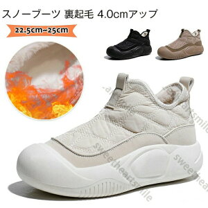 Xm[u[c fB[X h g  u[c fB[X ~ V[gu[c Ȃ V[g u[c ۉ y N hC Xm[V[Y h EB^[u[c RtH[gV