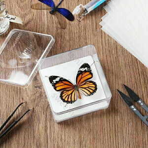 W{Lbg ̃Lbg W{P[X W{̍ Zbg W{c[ ̍̎ W{ ^ wvWFNg̒\ȕW{Zbgp