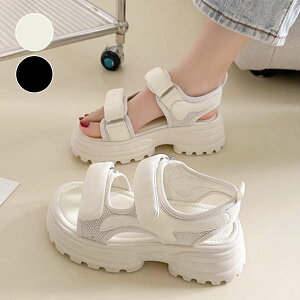 fB[X ؍ xN X|T  xgT_ 5cmq[ ₷  AEghA s C T_Xj[J[ lCT}[V[Y JWAT_