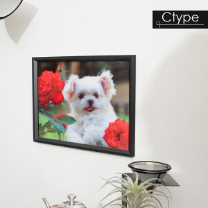 3DG 3DA[g ̓I zt 32×42    Aj} CeAA[g яoG EH[A[g v[g  lR p_ RA