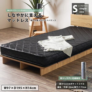 5%offN[|zz }bgX VO VO}bgX 14cm Pi k [ |PbgRC _ d ʋC 97cm s195cm lp 1lp Q l炵 ቿi