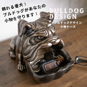 Ԓ|Cg10{  [P[X G I[ig uhbO  uY u A Aj} L[P[X  [  Ԍ ʔ j[NG CX^f