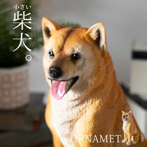 u I[ig Č  Aj}   IuWF 킢 Aj}u CeAG ΂ VoCk    rO CeA v[g Mtg 