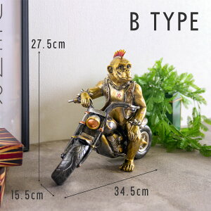 u   oCN n[[ AJ qJ C_[  S[h I pN I[ig  CeA Aj}  j[N IuWF G  ِE l^ 35cm 