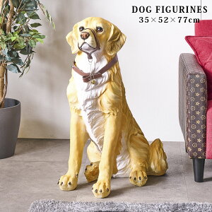 Ԓ|Cg10{ S[fgo[@u {  hbO K[fG   G  CeAu 77cm A 킢 [ht I[ig 