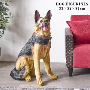 VFp[h@u {  hbO K[fG   G  CeAu 81cm A 킢 [ht I[ig 