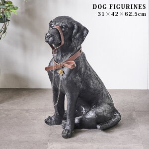 uh[go[@u {  hbO K[fG   G  CeAu 62.5cm A 킢 [ht I[ig 