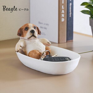 CeAgC u   I[ig  u D gC 킢  gC g[ CeA u ̏u  Aj} G  r