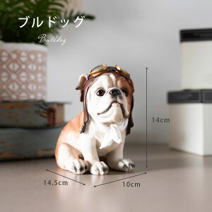  u 킢 JCC  10cm uhbO lR I[ig CeA G IuWF i  |Cg  pCbg ` Aj} 邢   F