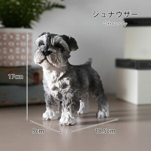  u 킢 JCC  ViEU[ r[O _bNX ` I[ig CeA G IuWF i  |Cg  Aj} 邢 A ڂ 