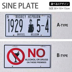 TCv[g AJ 30×15cm  EH[A[g A[gpl ` CeA G A[gv[g io[ oCJ[ K[W C_XgA Be[W A~