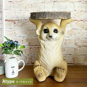 TChe[u ~je[u  Aj}  \t@ 5 CeA u G |bv A 킢 35cm K[fI[ig v[g lR ~[ALbg i}P