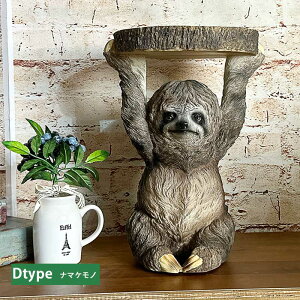 TChe[u ~je[u  Aj}  \t@ 5 CeA u G |bv A 킢 35cm K[fI[ig v[g lR ~[ALbg i}P