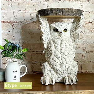 Ԓ|Cg10{ TChe[u ~je[u  Aj}  \t@ 5 CeA u G |bv A 킢 35cm K[fI[ig v[g lR ~[