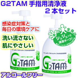 g2tam 除菌 消臭 消毒 抗菌液 ハンドクリーナー 手洗い G2TAM手指用清浄液 泡タイプ500ml×2本
